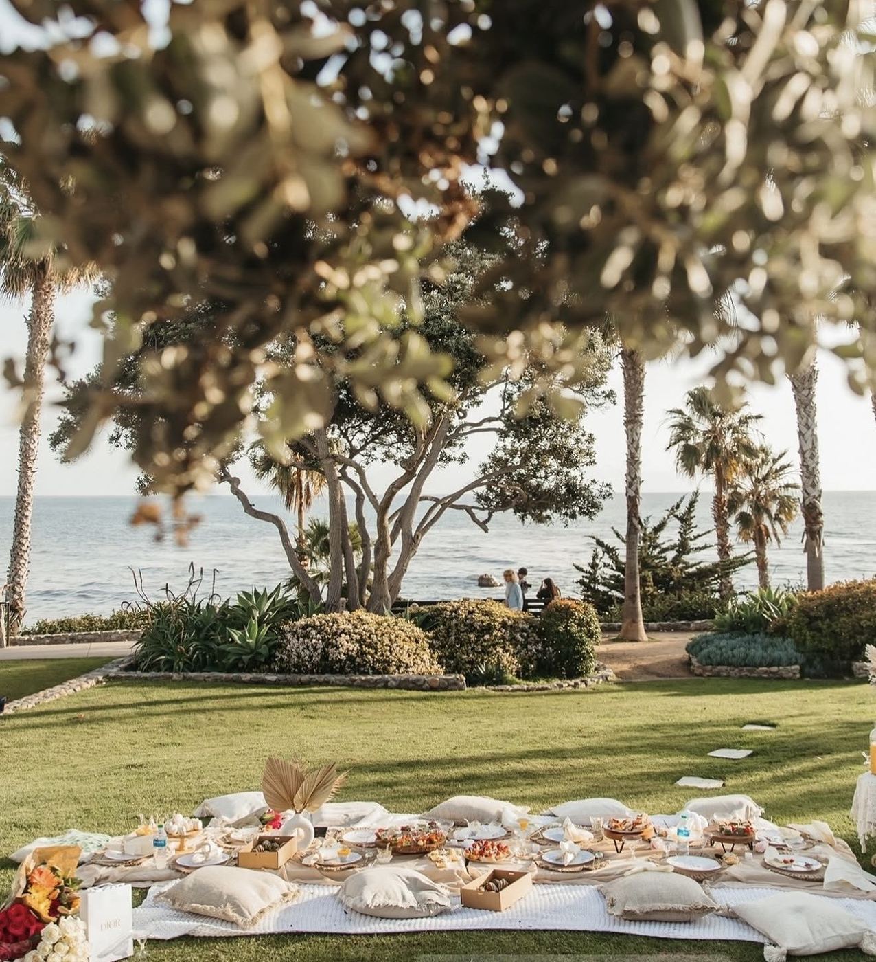 Oceanfront picnic setup