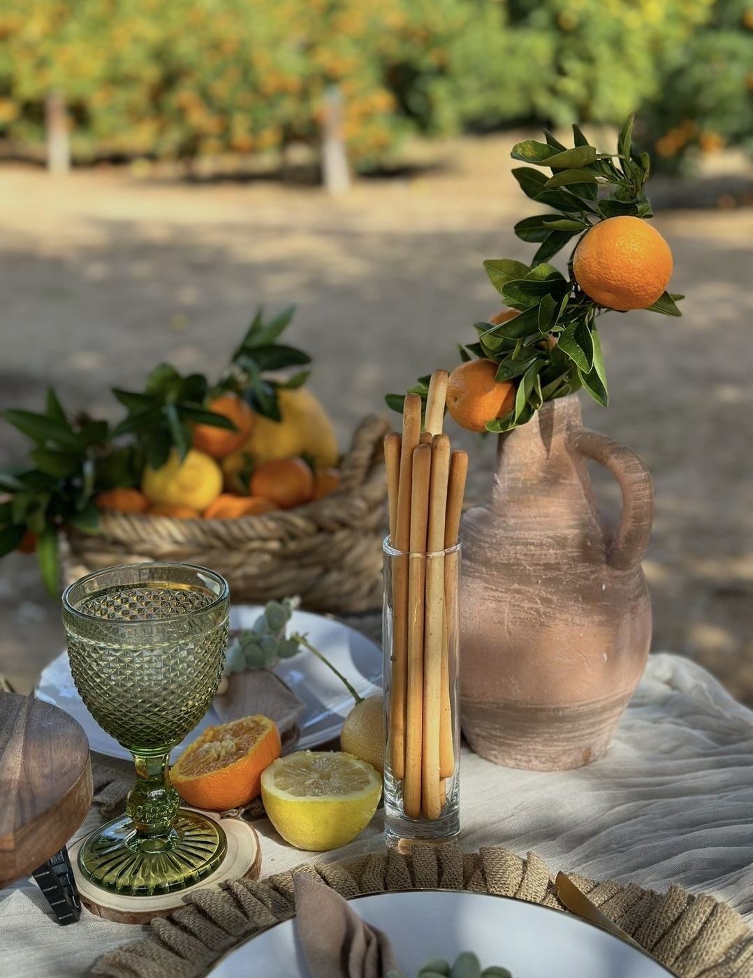 Picnic table detail in an orange grove