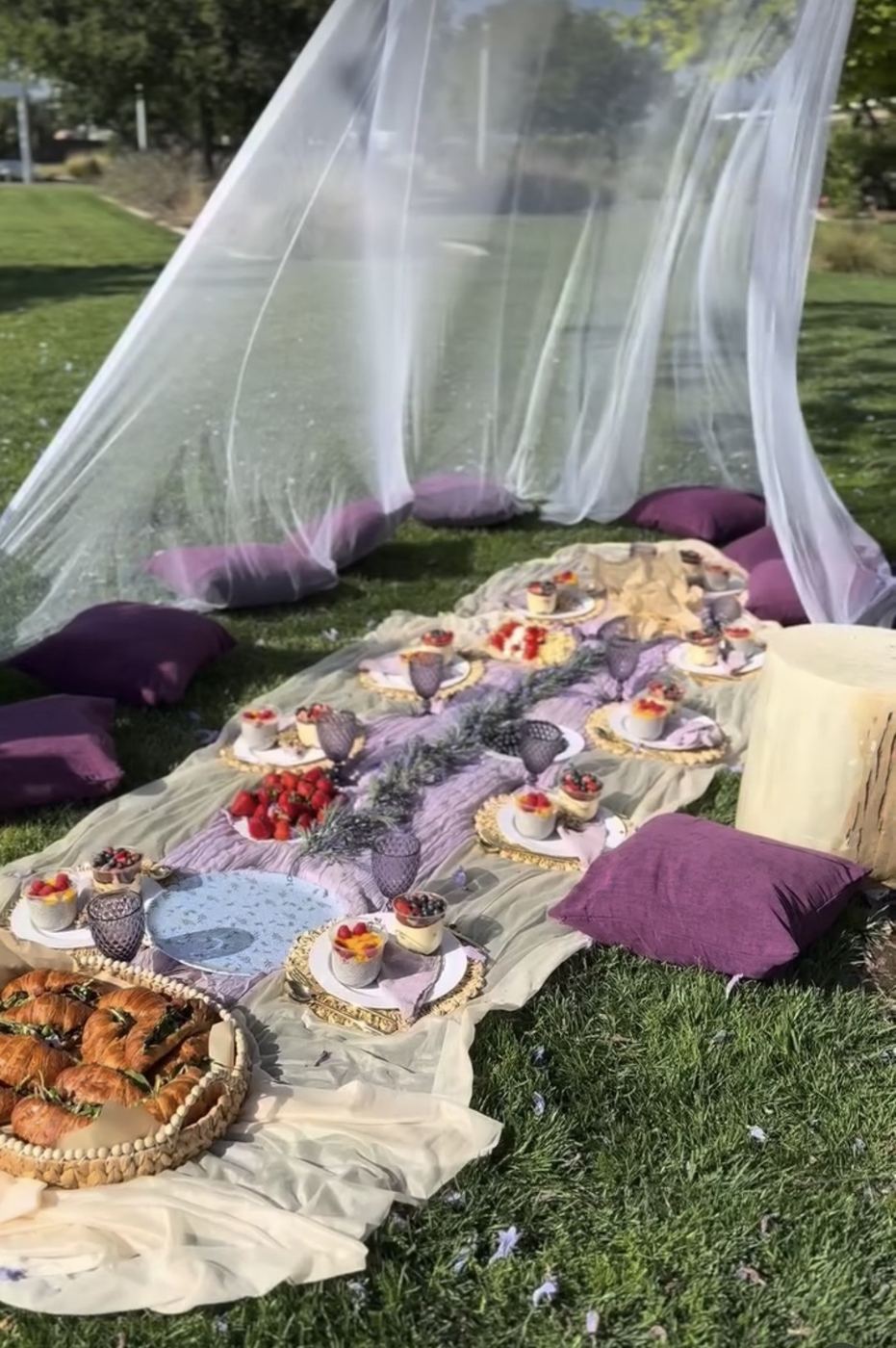 Aesthetic picnic setup with sheer canopy and purple pillows