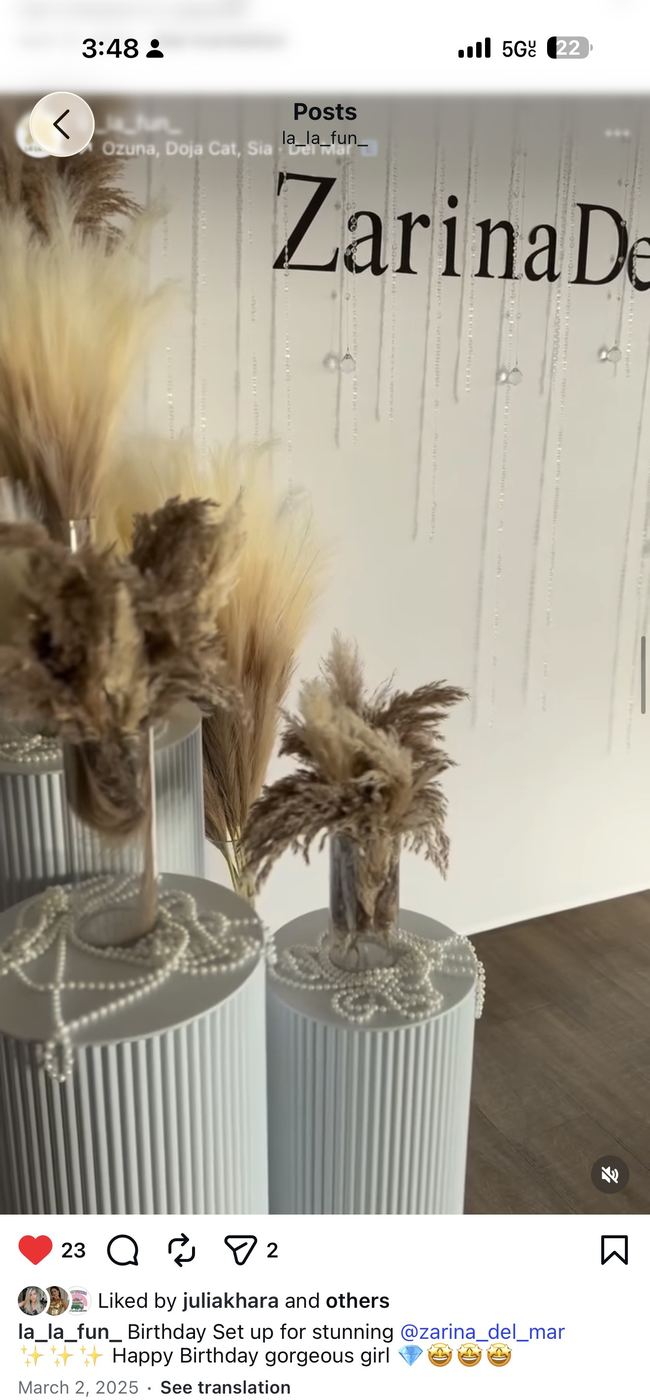 Birthday step and repeat with pampas grass